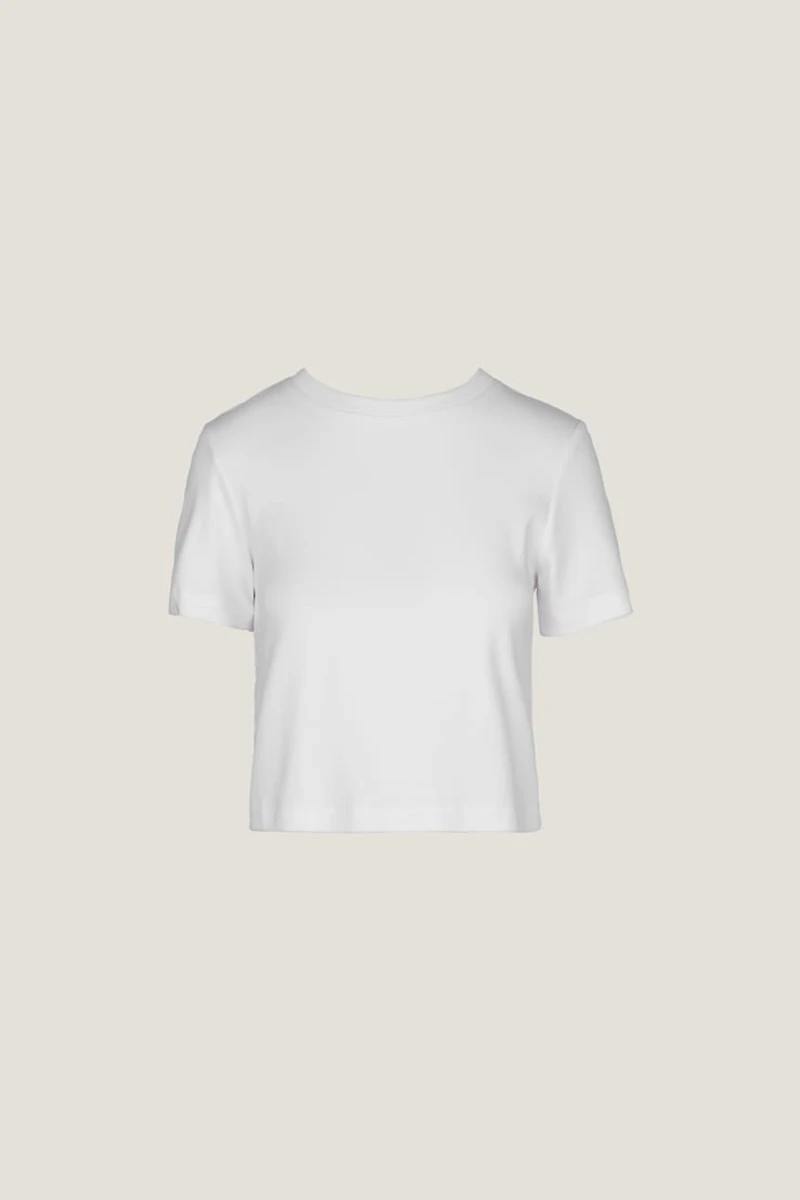 Everyday Cotton T Shirt