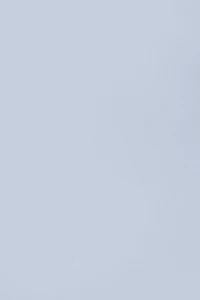 Sleek Plunge Halter Top