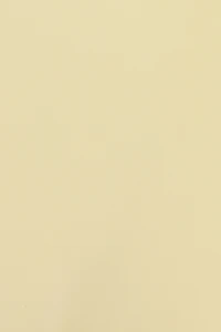 Boomerang Cheeky Bikini Bottom