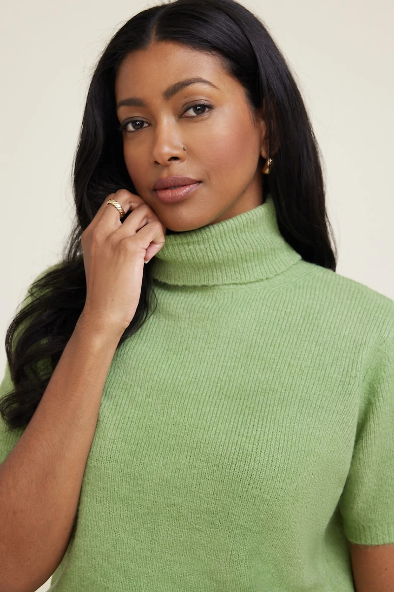 Lora Short Sleeve Turtleneck Sweater