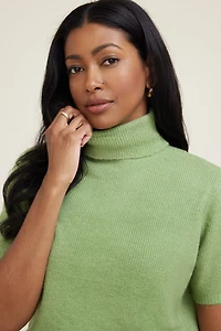 Lora Short Sleeve Turtleneck Sweater