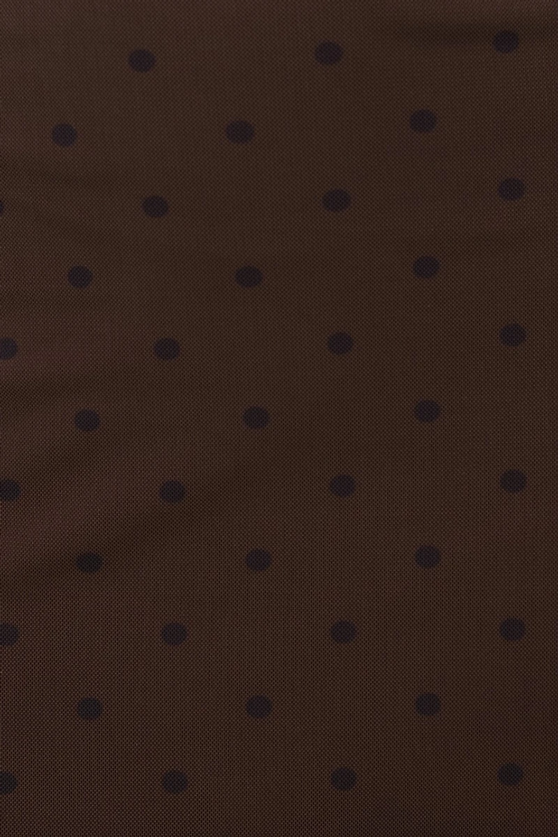 Katia Mesh Long Sleeve Mini Dress