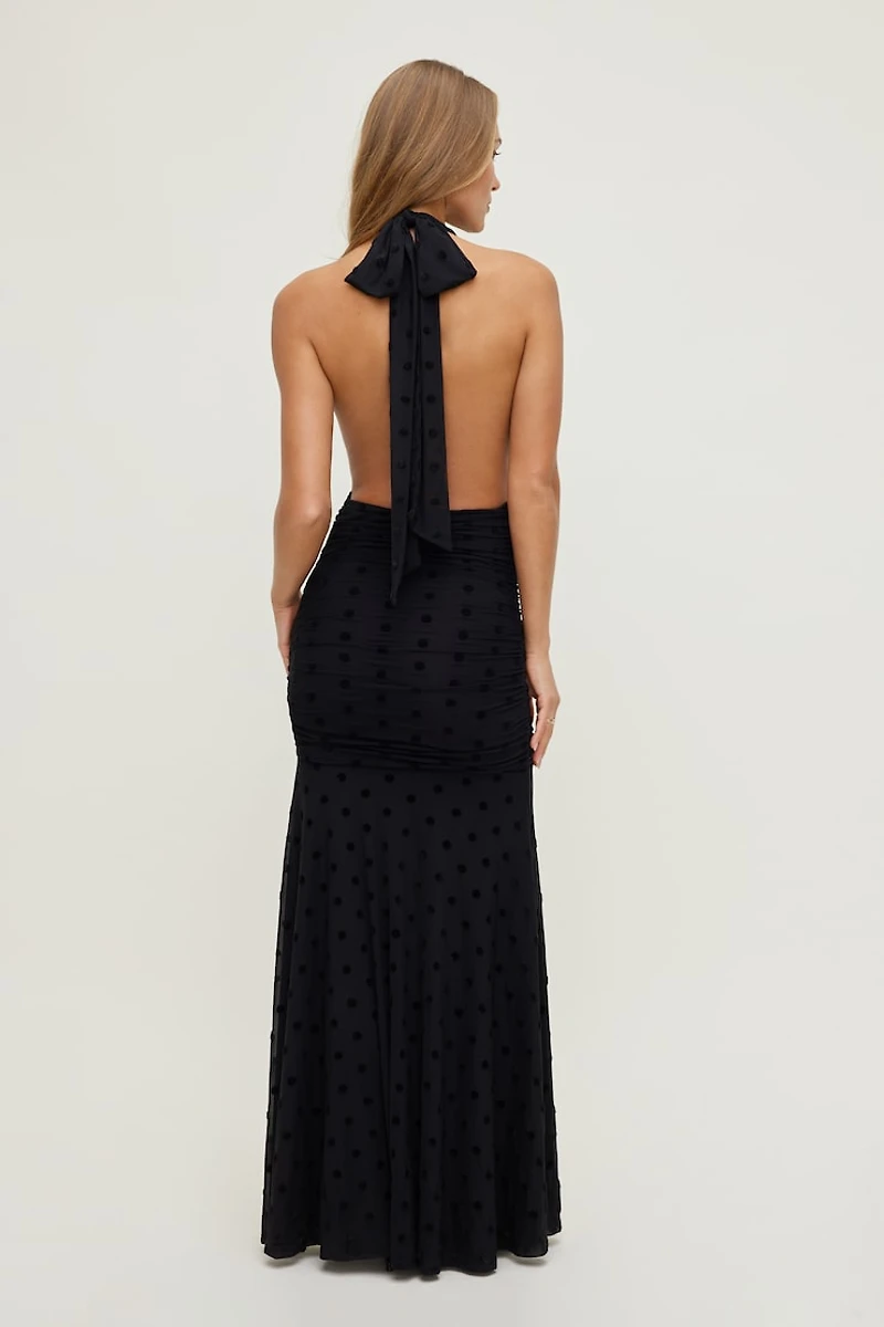 Polka Dot Mesh Maxi Dress