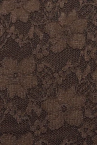 Lace Plunge Bustier Top