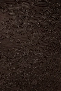 Mock Neck Lace Bodysuit