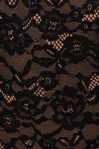 Lace Plunge Halter Bodysuit