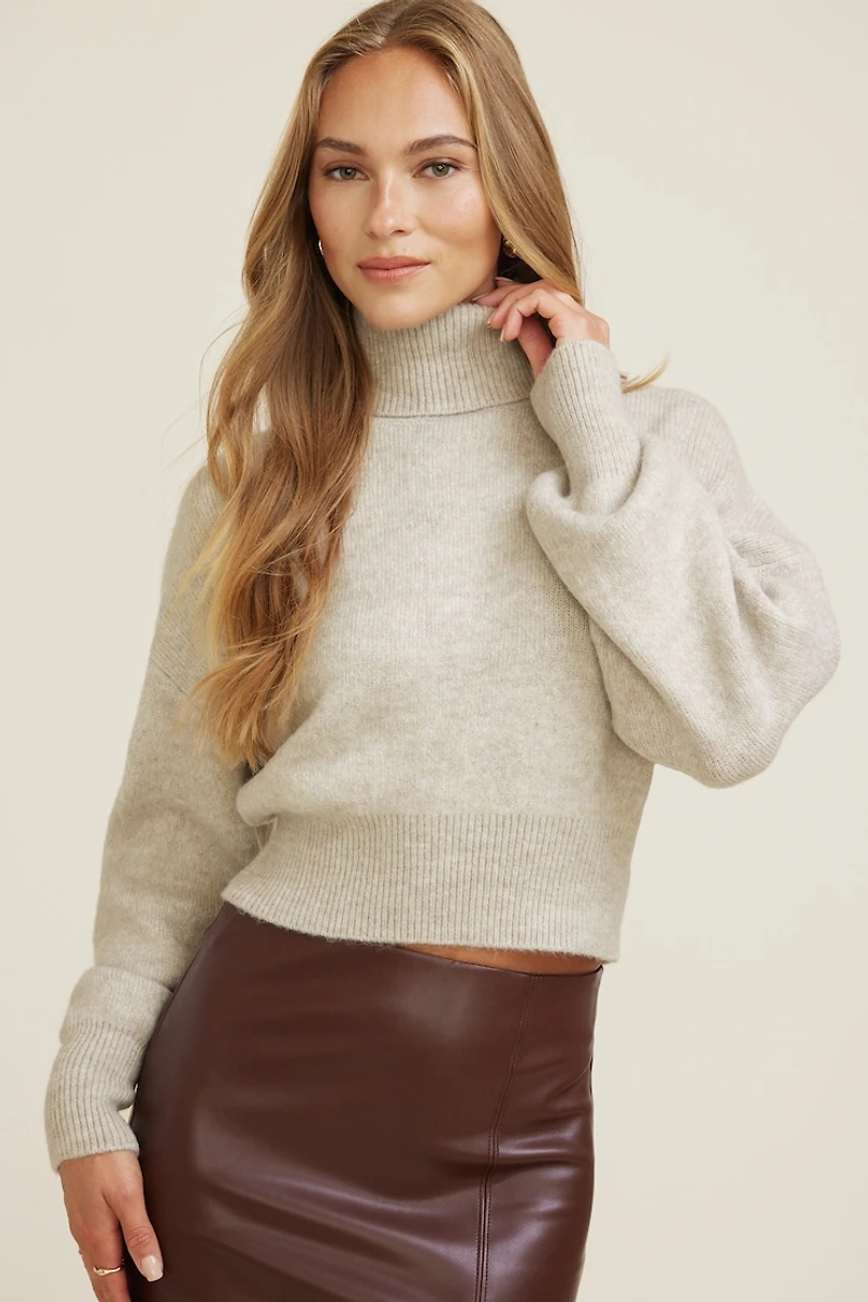 Ellora Crop Turtleneck Sweater