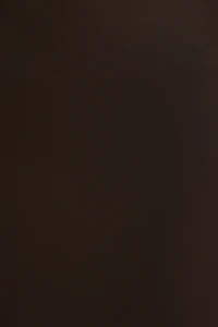 Lace Satin Midi Skirt