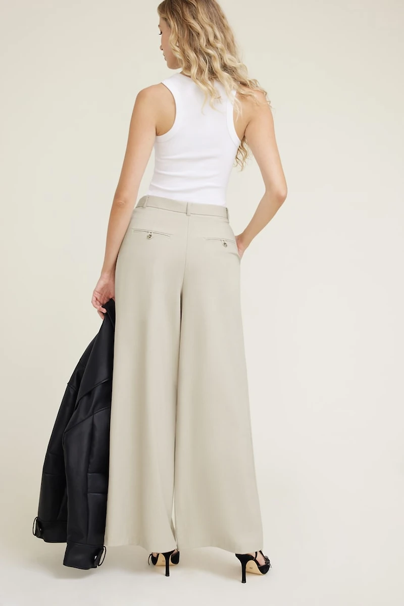 Pleated Wide Leg Pants