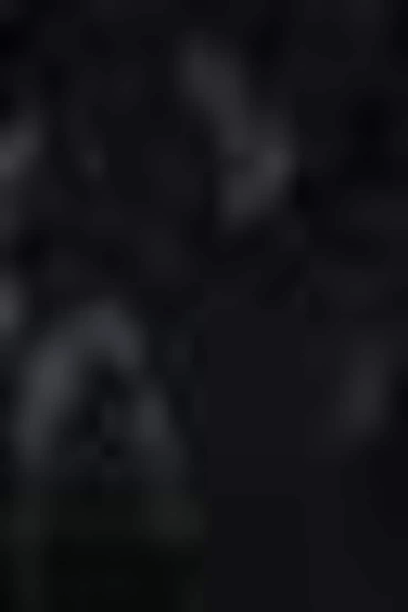 Elisa Midi Tube Dress