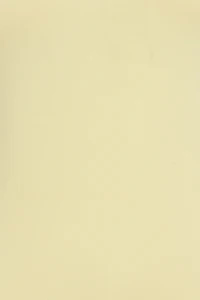 Sleek Sweetheart T Shirt