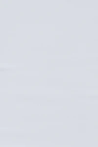 Sleek Y-Neck Cami Top