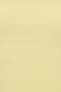 Sleek Longline Tube Top