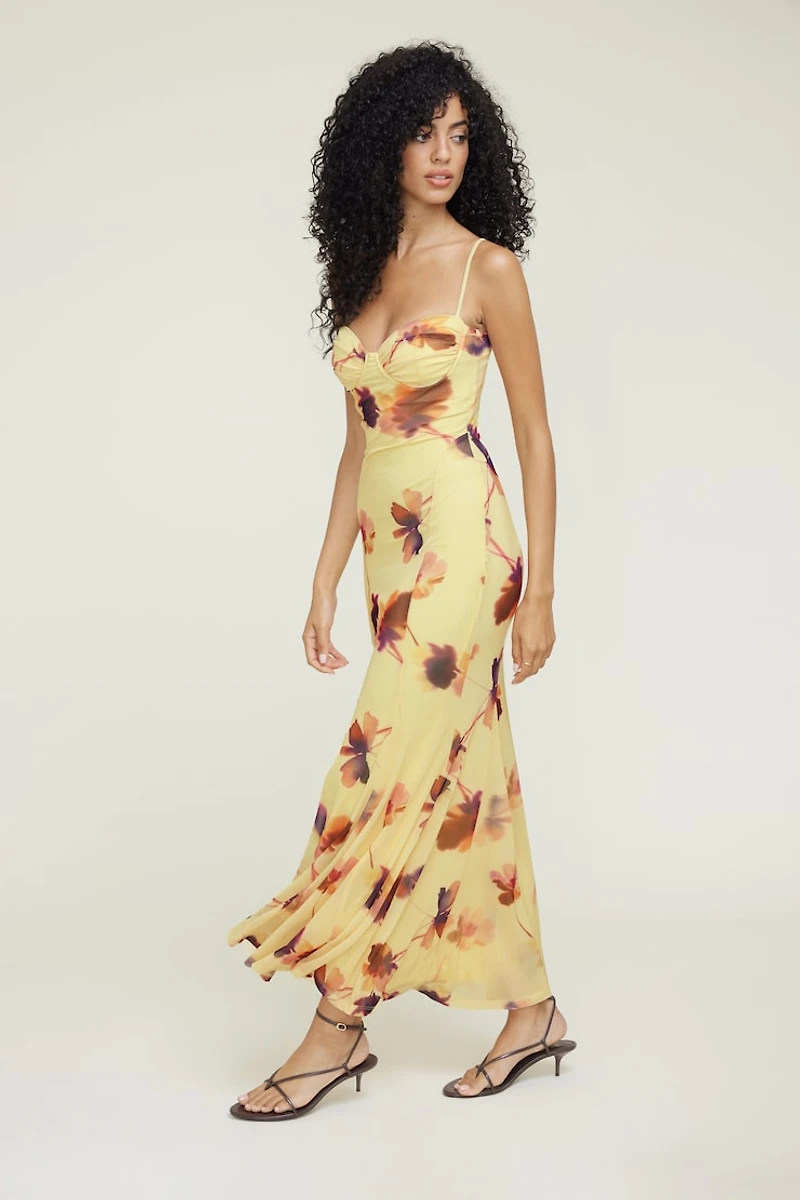 Monet Mesh Maxi Dress