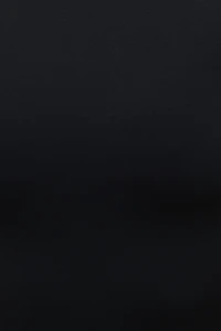 Sculpt Crewneck Bodysuit