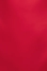 Selina Satin Mini Dress