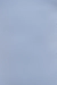 Sculpt Scoop Neck Shelf Bra Bodysuit