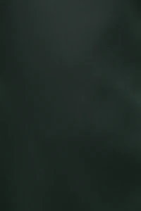 Selina Satin Mini Dress