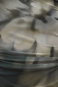 Cleo Printed Mesh Long Sleeve Top.