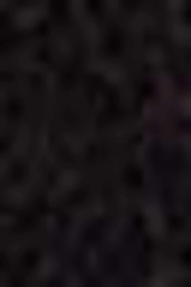 VAGABOND | Bottes hautes Cassie