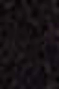 VAGABOND | Bottes hautes Cassie