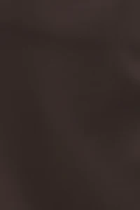 Fitted Satin Mini Skirt