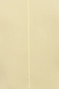 Smooth Scoop Neck Long Sleeve Top