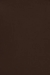 Sleek Plunge Halter Bodysuit