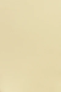 High Triangle Bikini Top