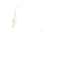 10K Yellow Gold Diamond Bracelet