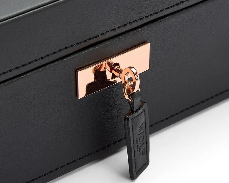 Axis 10 Piece Watch Box 