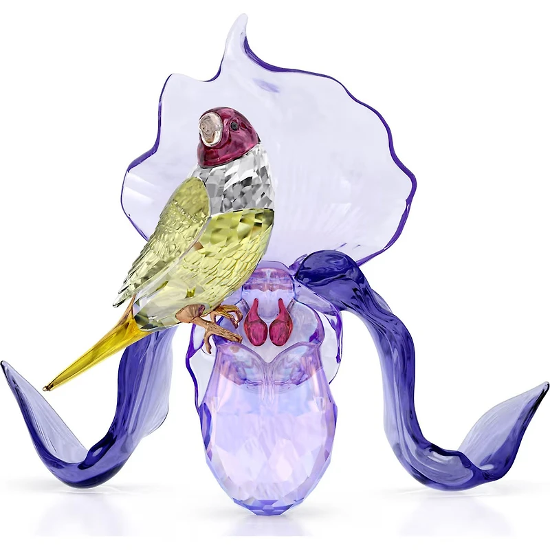 Swarovski - Idyllia Gouldian Finch and Orchid 5675211