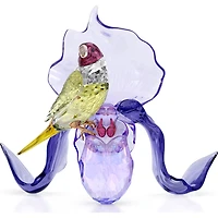 Swarovski - Idyllia Gouldian Finch and Orchid 5675211