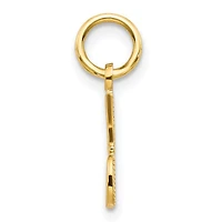 14K Yellow Gold Polished "#1 DAD" Charm - 17mm x 13mm