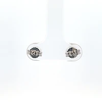 10K White Gold 0.50cttw Lab Grown Diamond Earrings