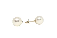 14K Yellow Gold Cultured Pearl Stud Earrings