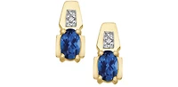 10K Yellow Gold Sapphire & Diamond Earring