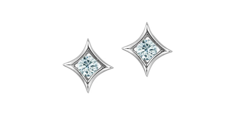 10K White Gold 0.25cttw Lab Grown Diamond Earrings