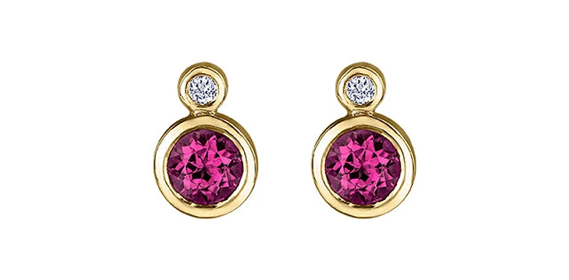 10K Yellow Gold Ruby and 0.01cttw Diamond Earrings