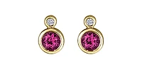 10K Yellow Gold Ruby and 0.01cttw Diamond Earrings