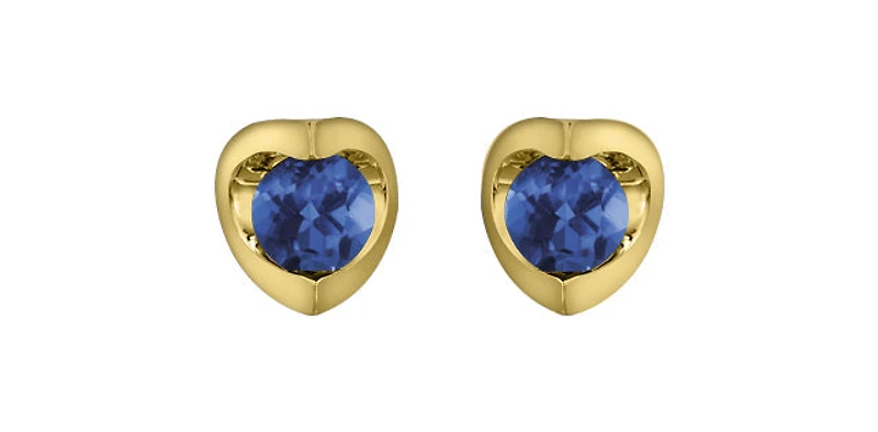 10K Yellow Gold Sapphire Earring