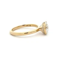 14K Yellow Gold Lab Grown Diamond Hidden Halo Ring - / 4.5