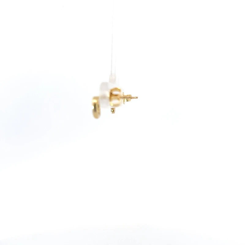 10K Yellow Gold 0.10cttw Canadian Diamond Earrings