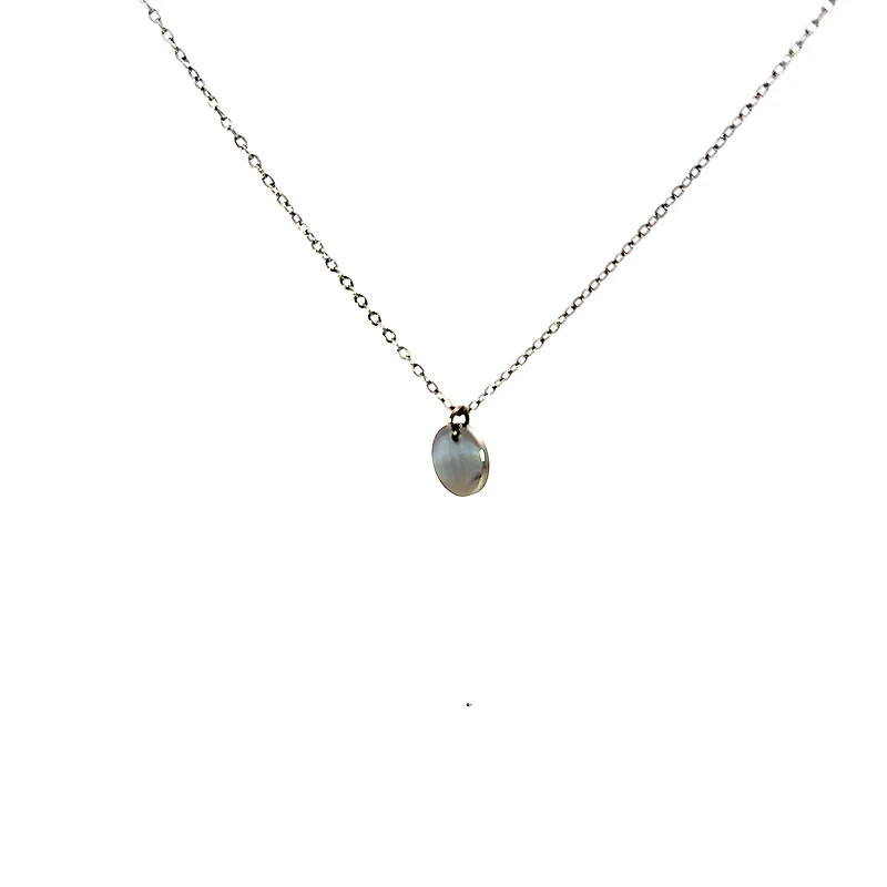 Stainless Steel 10mm Engravable Disc Pendant - 18"