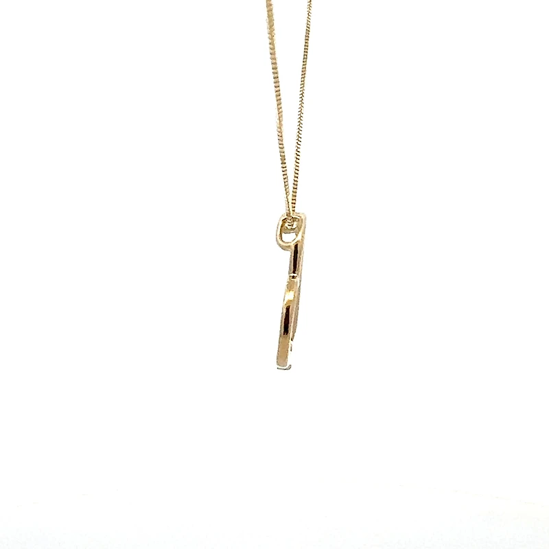 10K Gold 0.03cttw Canadian Diamond Heart Pendant