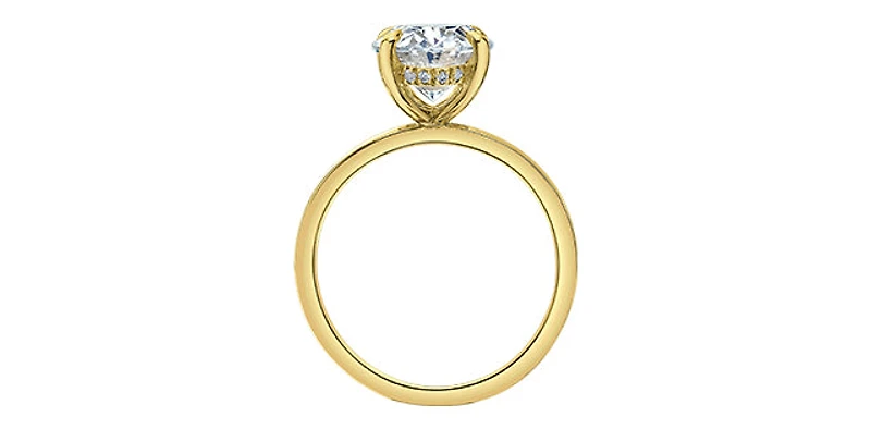 14K Yellow Gold 3.09Cttw Lab Grown Oval Cut Diamond Engagement Ring With Hidden Halo - / White