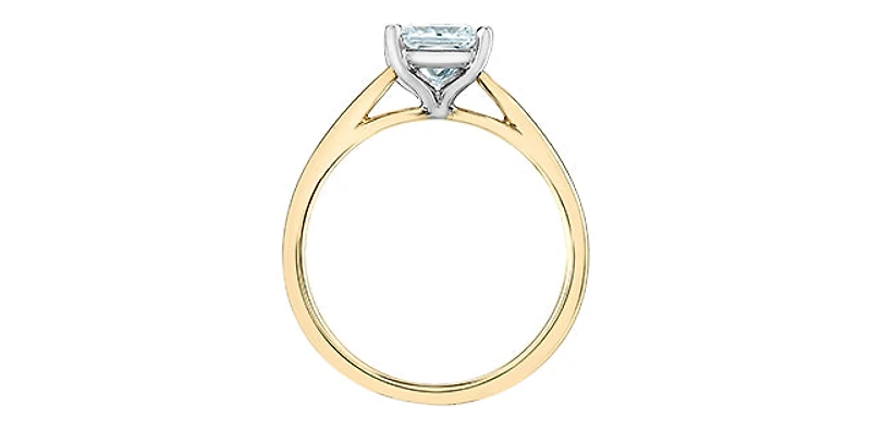14K Yellow and White Gold Lab Grown Princess Cut Diamond Ring - 4 /