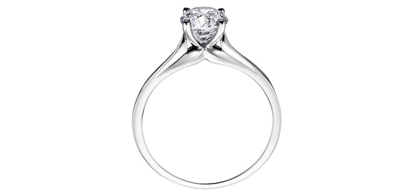 14K White Gold 0.25cttw Canadian Diamond Ring - /