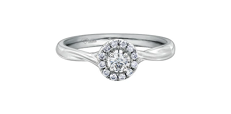 10K White Gold 0.30cttw Canadian Diamond Engagement Ring - /