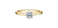 18K Yellow Gold 0.55cttw Round Brilliant Cut Canadian Diamond Hidden Halo Engagement Ring - / White